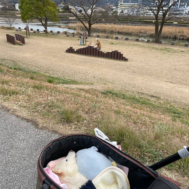 Aa0f93d4 b335 433c b79d 9bd0f1366752 1675941976574