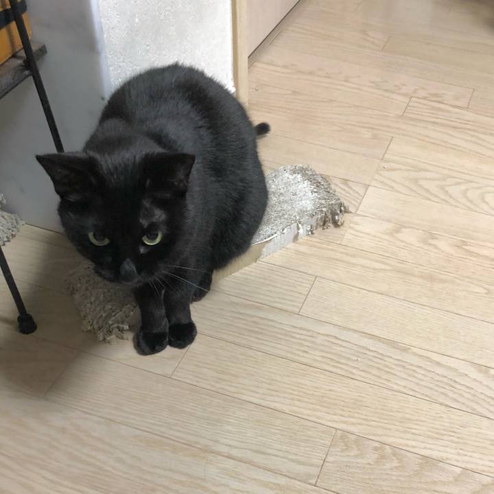 Aa0fa055 e7d9 4775 b4d0 716dac432735 1616591175924