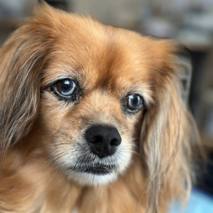 Aa0fa474 0061 4930 8a4d 7619819295c3 1728167710820