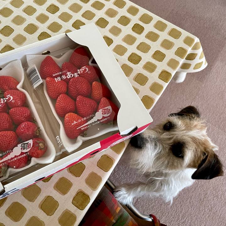 Aa0fa552 c999 4027 8087 347ad6b3c9c9 1647233285489