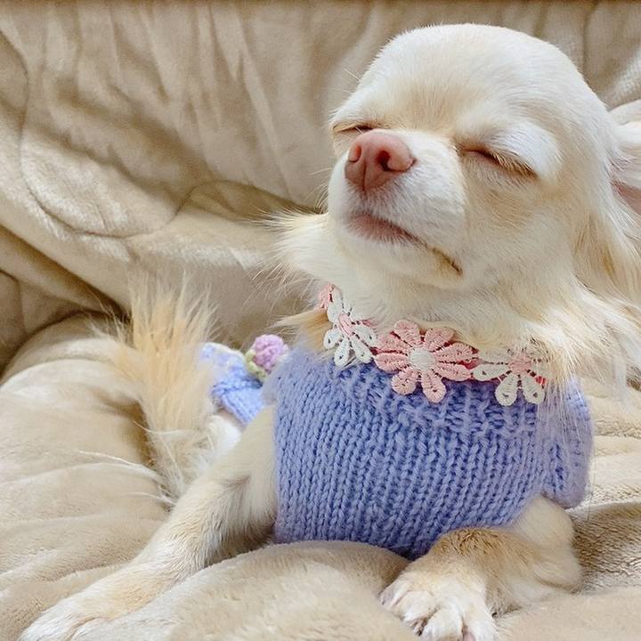 Aa0faf5a 14c6 46b5 bbce c1a380e03b12 1614340432693