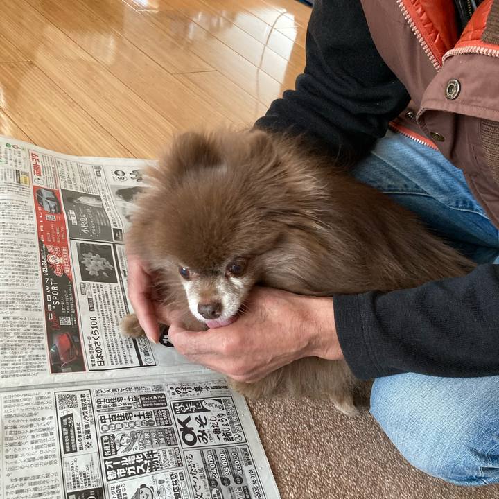 Aa0fd398 dfce 4a10 b4e8 31ec7c25ac34 1708661993849