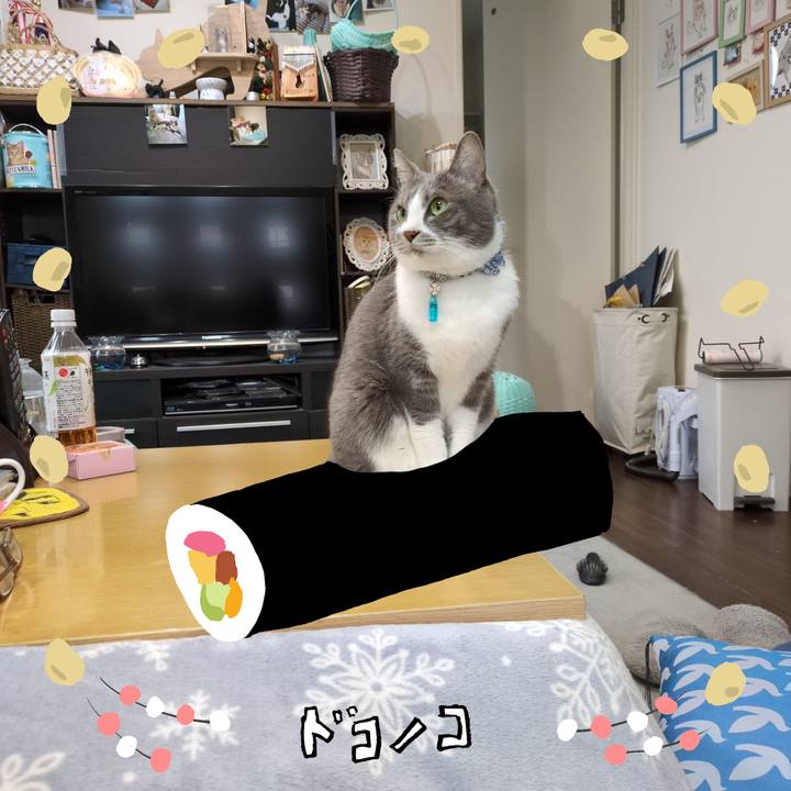 Aa0fe8dc 0ef7 48b2 8706 d13928144177 1741067680964