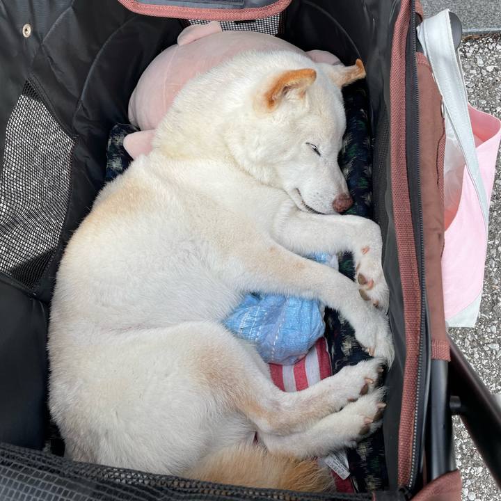 Aa100045 0815 4f01 949c 28316d0a0f4e 1652526730525