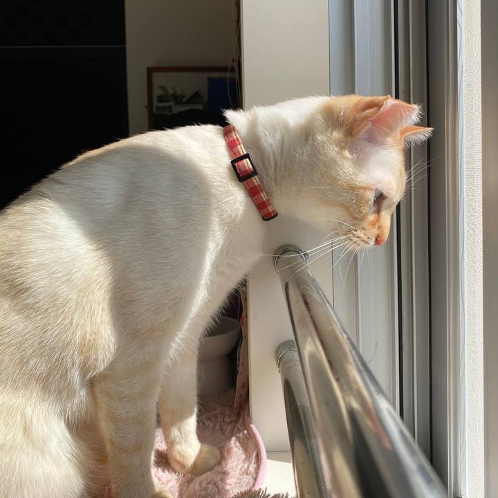 Aa100db6 b682 45e3 8bf9 346af5d431cb 1677993656233