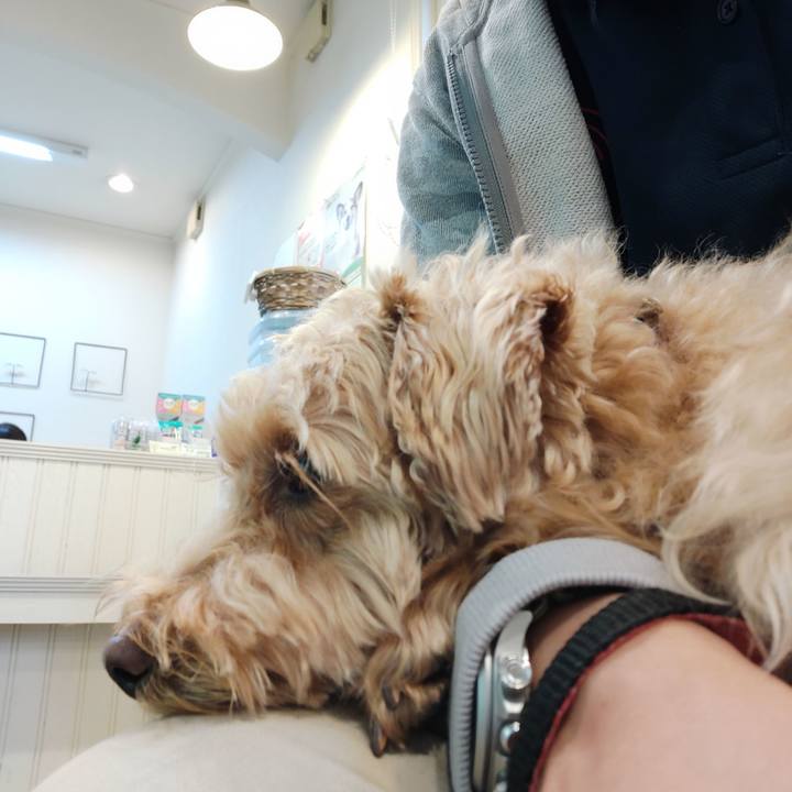 Aa107901 0c05 47b6 aaaa 9d64554908bf 1591701370571