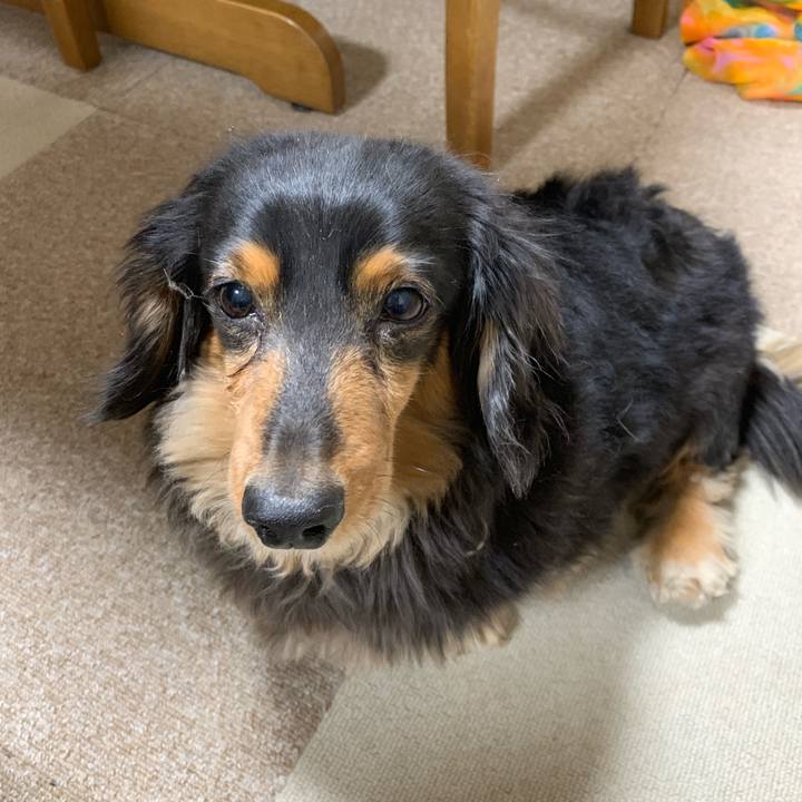 Aa107cae 525e 4f59 884e 64e39a902d84 1550008430914