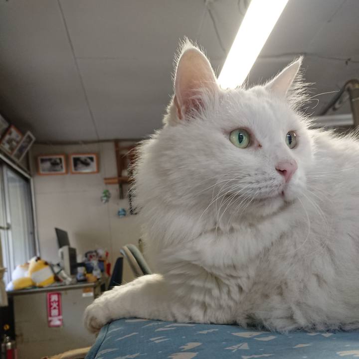 Aa10980b c9e0 41ef 9bcb 83337f30875e 1566772168163