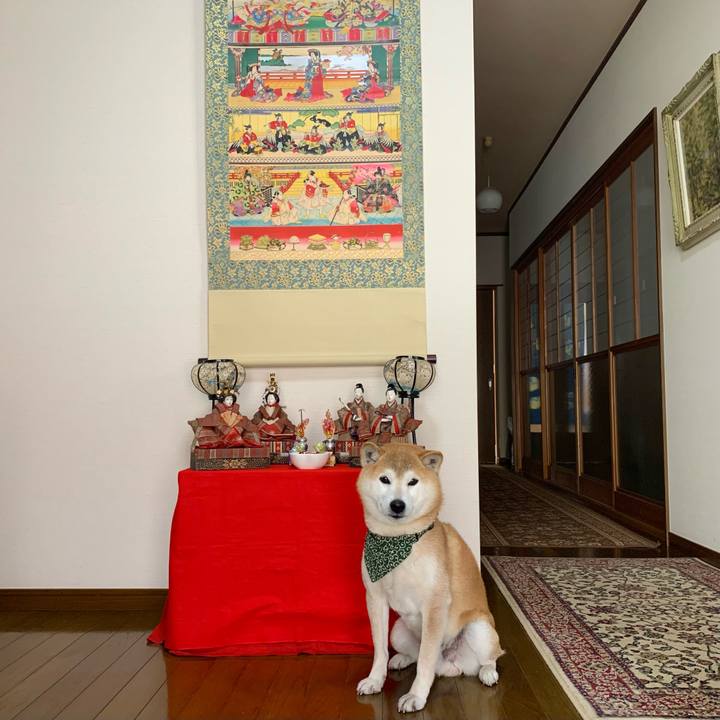 Aa10e20c 734f 4100 ad89 2525b071d721 1677663297153