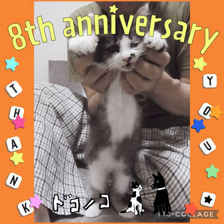 Aa1148df 3b66 4178 86b6 8effda64ca0e 1718579579588