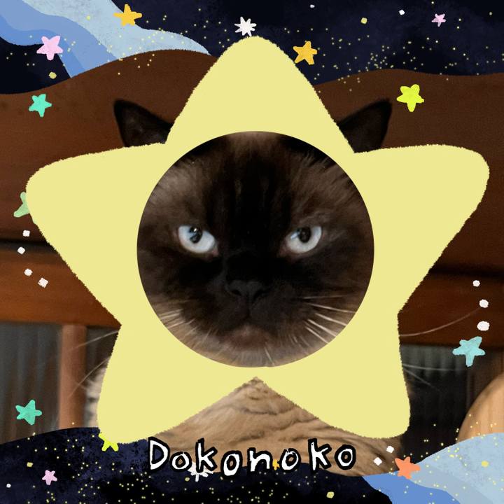 Aa119004 7ecd 49a0 9963 39acf42ba3a7 1720914038430