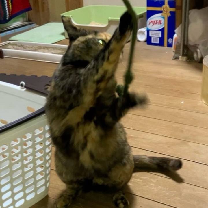 Aa11f3b4 751f 45b1 a60f 1b24f6cb11e0 1739131785601