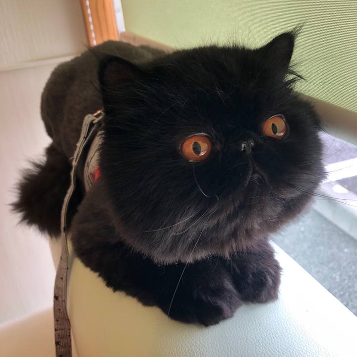 Aa121b3c 0061 48ca b407 6228031a1609 1626504655278