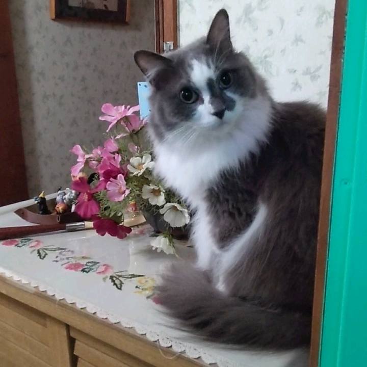 Aa1258f8 69bf 46bb 805c be99799f17da 1760955237139