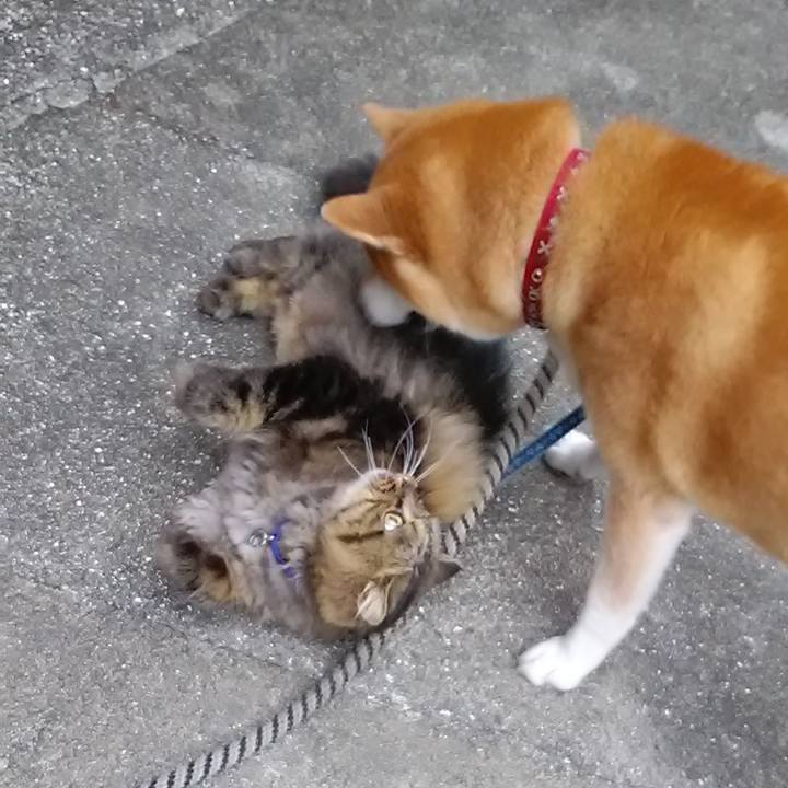 Aa129fae 8966 4e15 b159 74c6ef0eeaa8 1634081430259