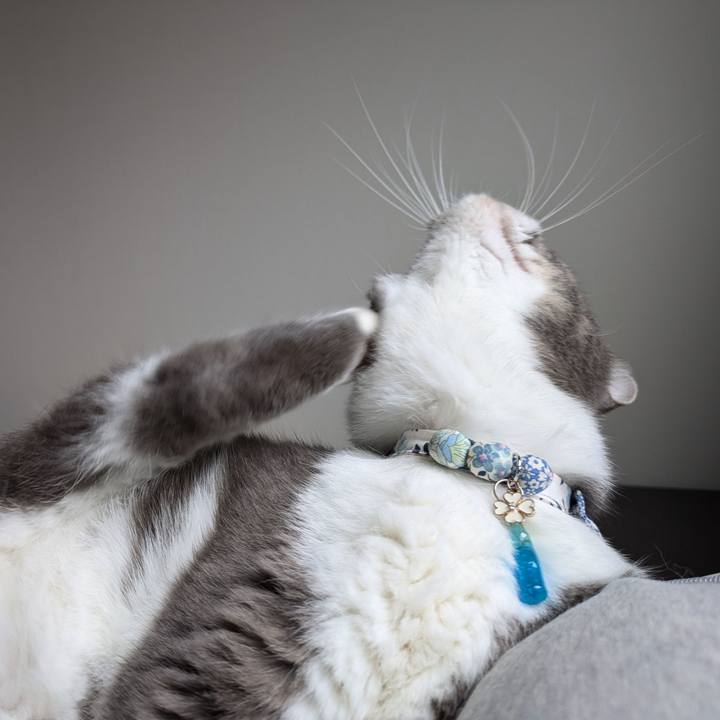 Aa12a401 bd90 4afa 8ebe 53405220100a 1729902698580