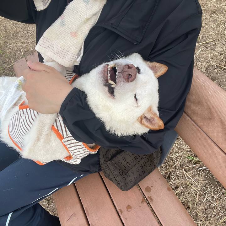 Aa12ce4c a2ef 4870 9214 341f26eaec96 1662365369117