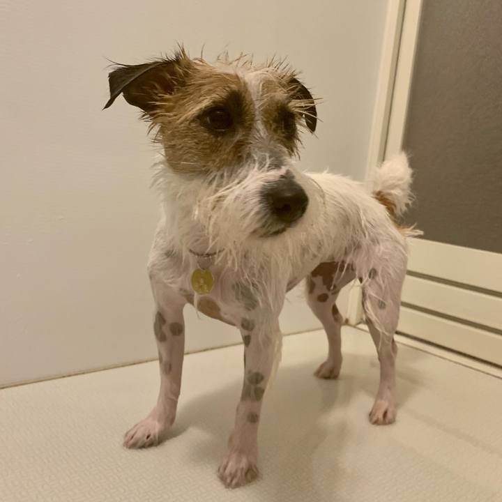 Aa12e21c 9d22 4506 bae7 11e406f7c48d 1616934686275