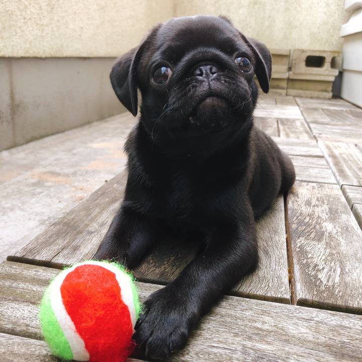 Aa12fd6e b8d1 4f1b ab2a 4a9ff570c4b6 1589257358594