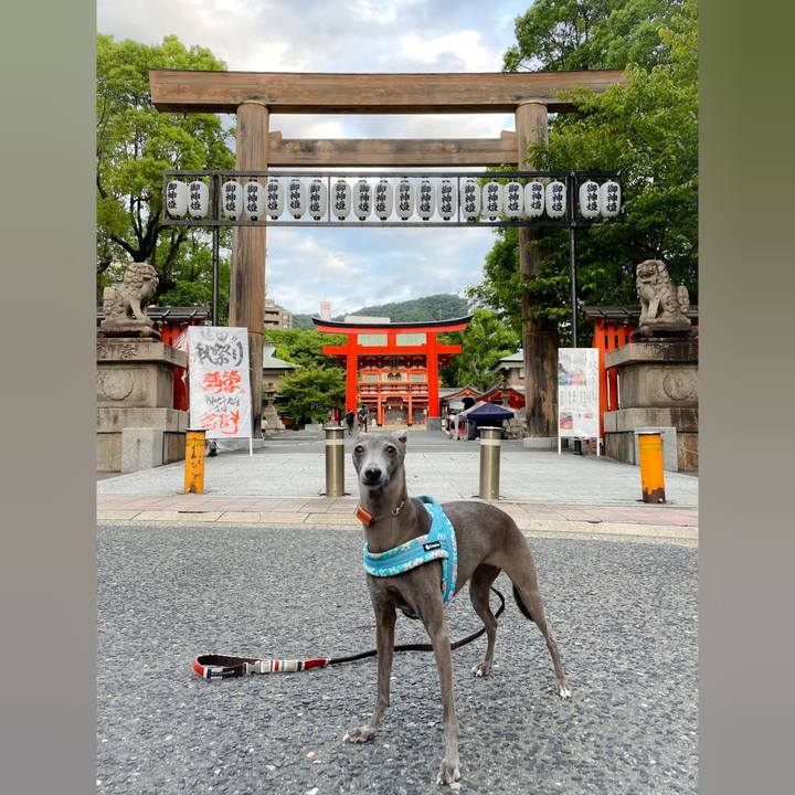 Aa131041 530f 446c 863b 723fcb47e532 1758537840003