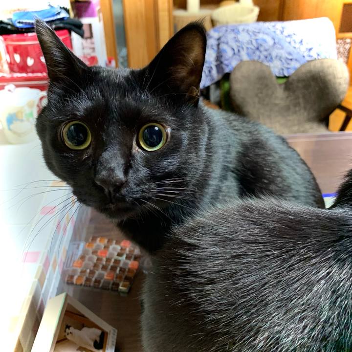 Aa13ad38 06fc 4f97 a0b6 6c41ac4c483d 1674132508700