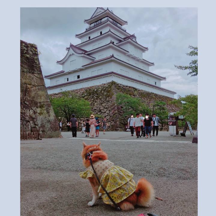 Aa13ba24 52cd 46f8 ac28 2a407e5c56f1 1566475733106