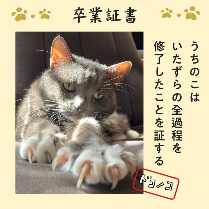 Aa140f73 83ca 46d7 9178 9de04fe4bd8b 1771892306242