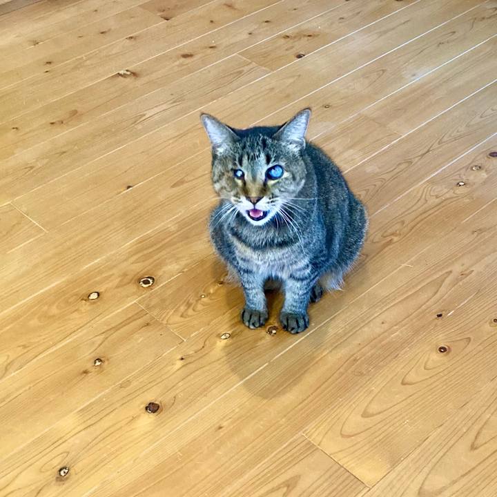 Aa1420b9 9506 4871 b32b 7d35416f93a6 1660888946645