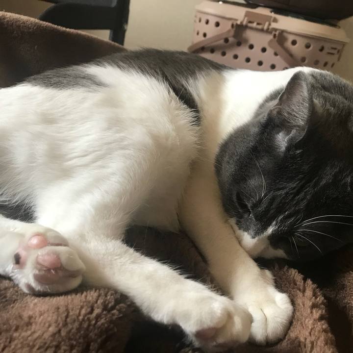 Aa145d85 a42b 42e2 8b62 6eb68fd52096 1624351876973