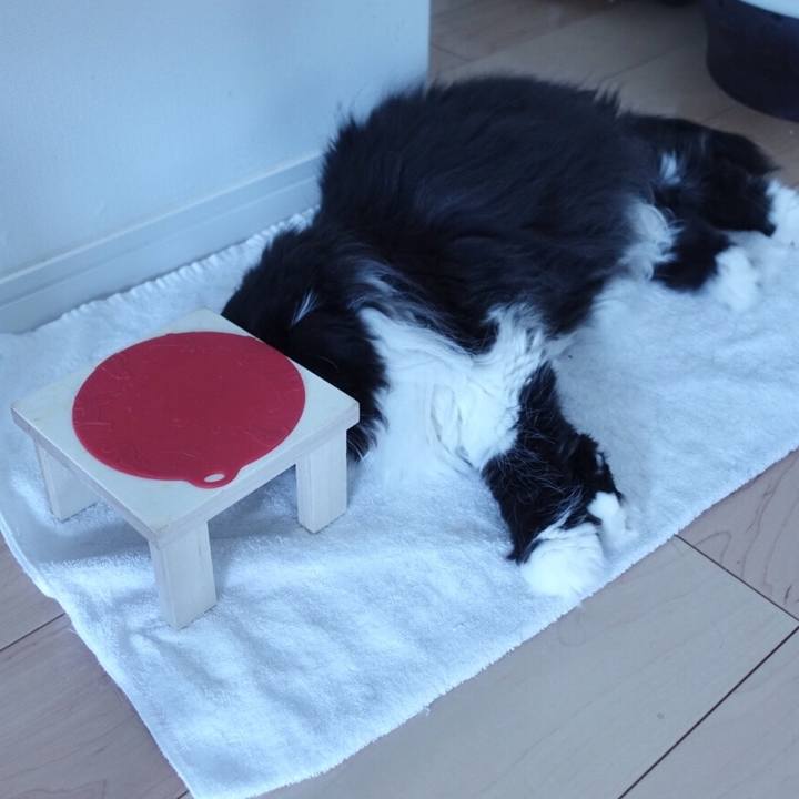 Aa147b8d d903 4a2c 9b8f 4dd81173f18e 1530450293879