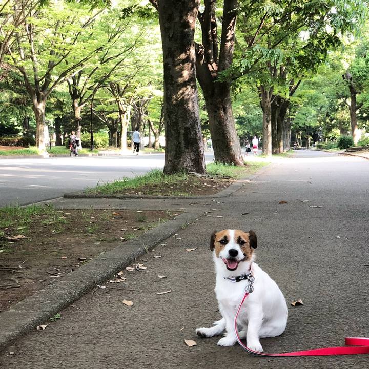 Aa14894e 413b 43ae 83b6 41608574f16e 1525179771431