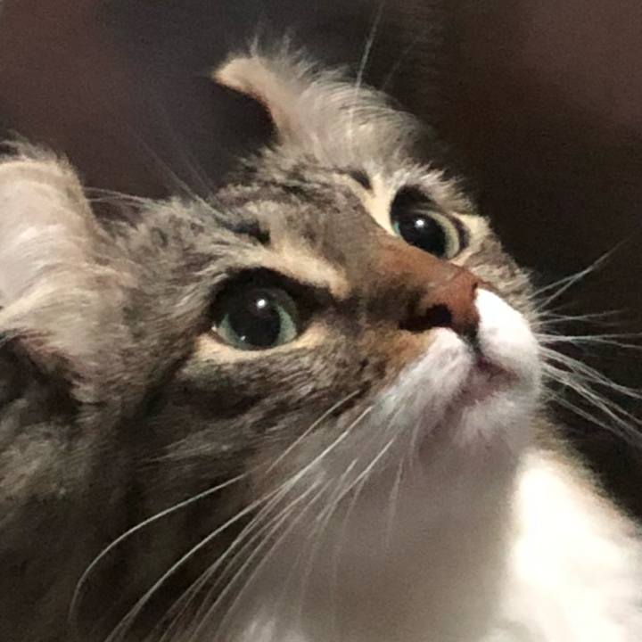 Aa150096 4278 4eaa af20 b835ba1498ca 1531580341614