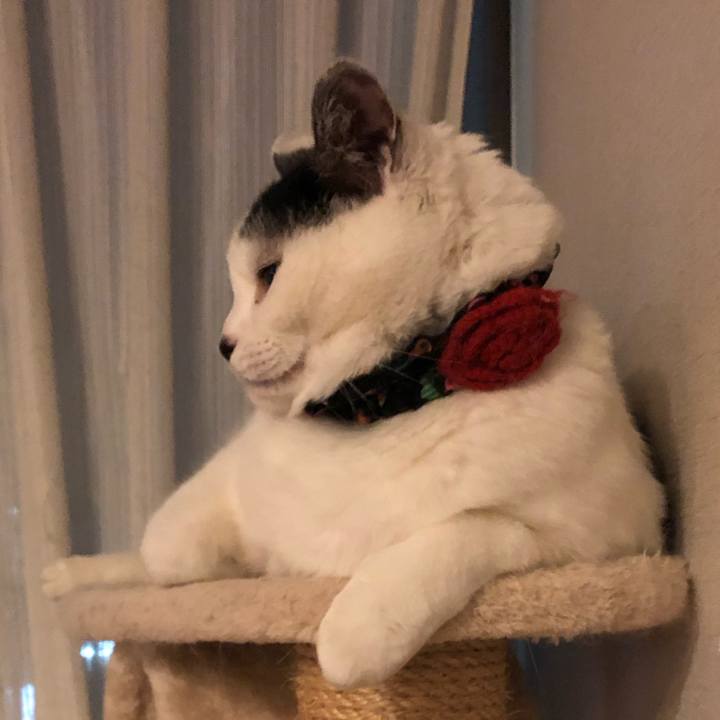 Aa1519fe a9ba 4b0a 81fe 3f538856d8a2 1550671785478