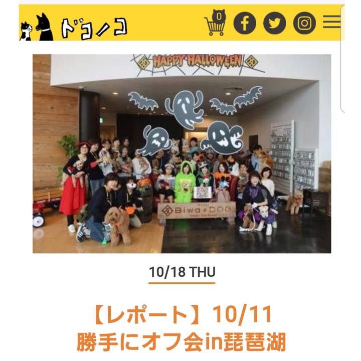 Aa15d224 4b85 43f8 8447 92e9a9e1a265 1539867782059