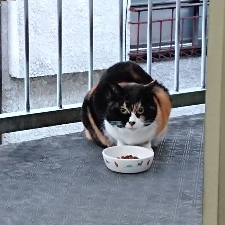 Aa15fa48 909e 4f8a 9b2c 18daf4e222fb 1672275236519