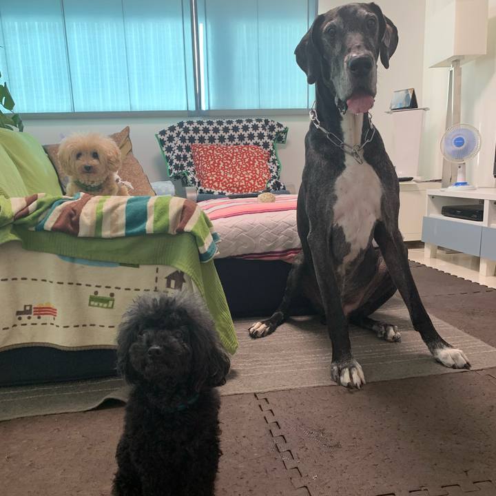 Aa160946 d0d2 4af0 b431 ce15b8ebad03 1599518476347