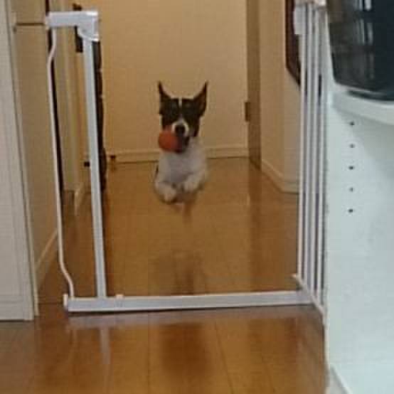 Aa1621cd 35fa 49a5 aa8f 2719ddd46775 1551666381916