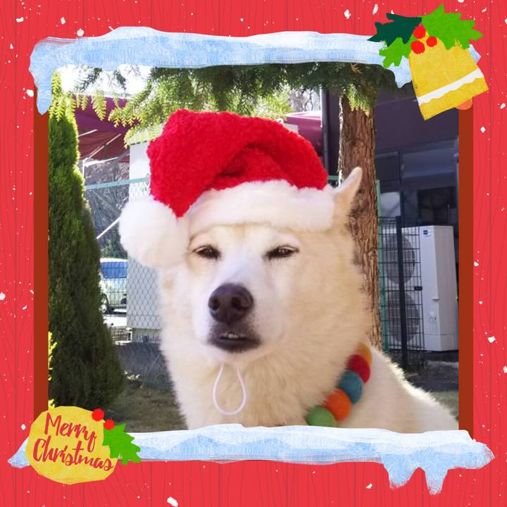 Aa163b0d e403 41c4 a6ae 79bee9b40053 1703470771902