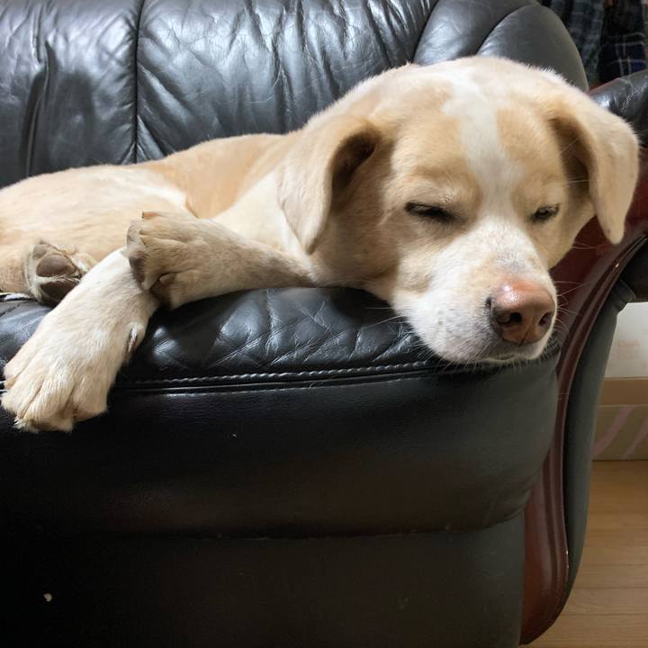 Aa167050 7a86 4e77 9f16 a4fbe321dfab 1582460350992