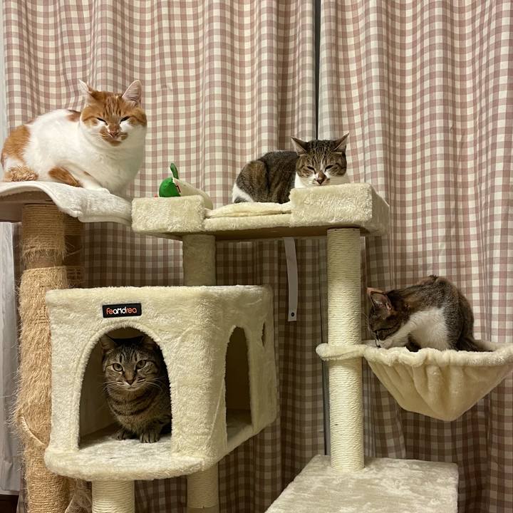 Aa16771f 2cdf 416a afe4 521e6b815b49 1703424462561