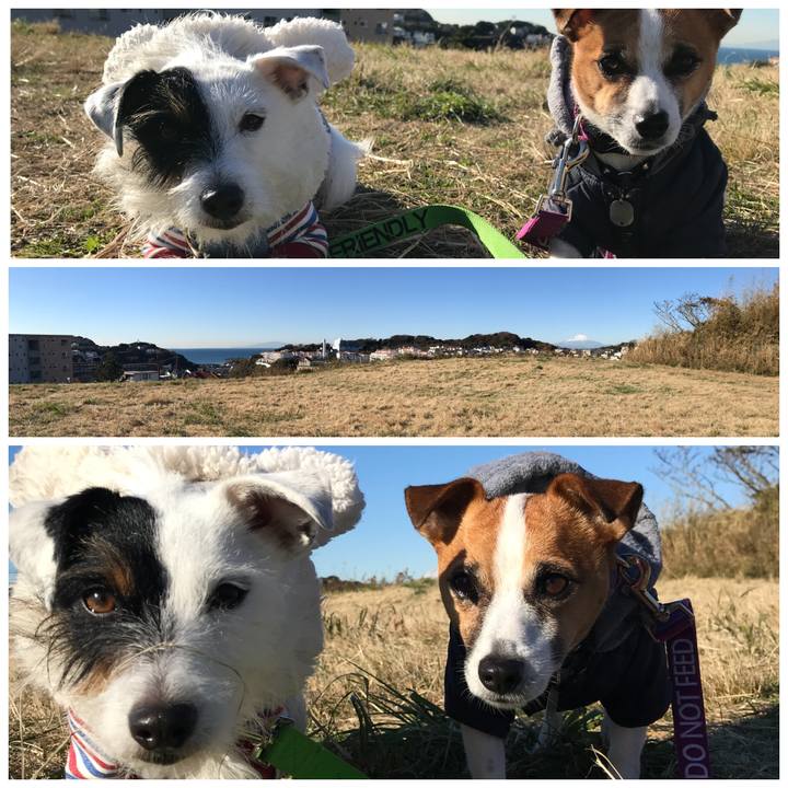 Aa1689e6 91c6 4f65 a768 e455c18d81fd 1512521830816