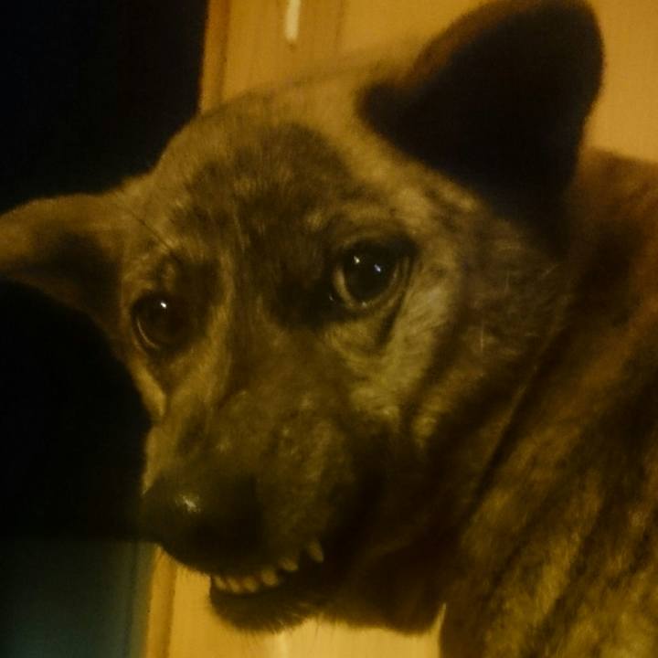 Aa168ad6 7771 4acb af11 b91f8df9c705 1519642645037