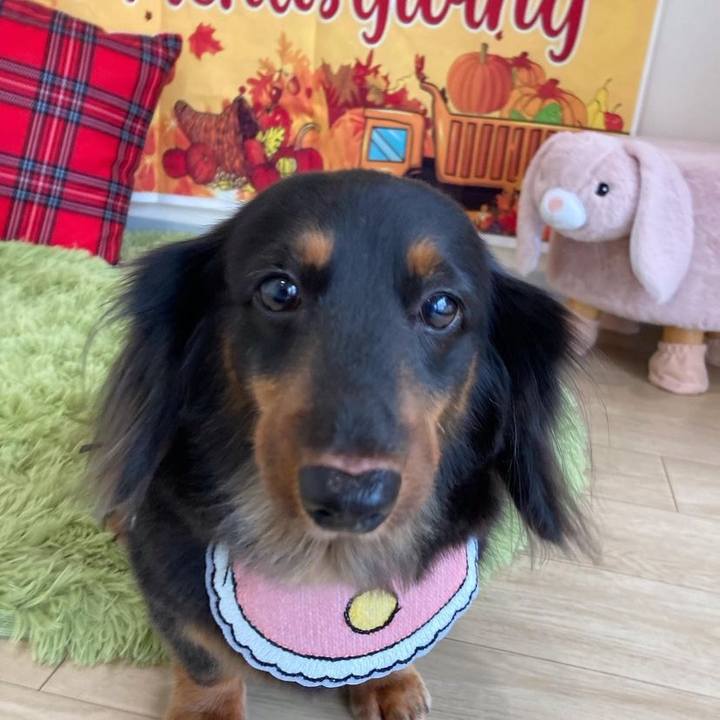 Aa168dfa 28f2 41d6 93d1 9dbc927dfa9c 1726281213060