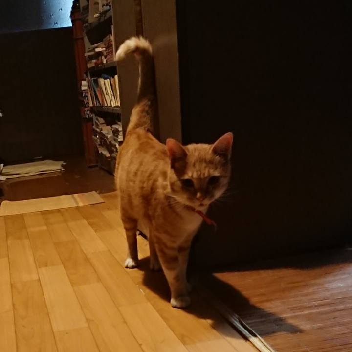 Aa16ae3d 462c 4356 b12c 130ca0cdc779 1570526952515