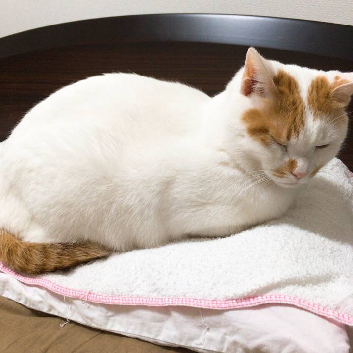 Aa16c74b 1536 4206 9f77 2dc02e599c12 1513949144013