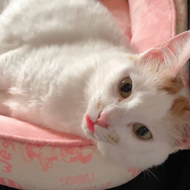 Aa16cd9d 1590 48f3 a9ef 03d00578497b 1588628160451