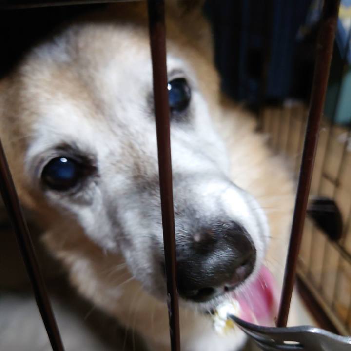 Aa16de87 f994 4d1e 954c b62cfdbcf288 1714567932366