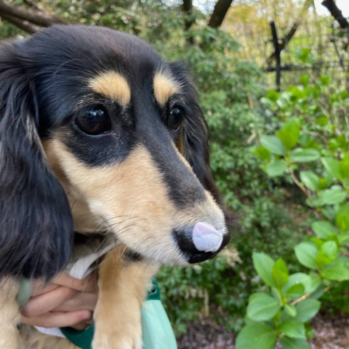 Aa16eaee 87bb 43ed 96f5 f906a2c2f505 1680260746063