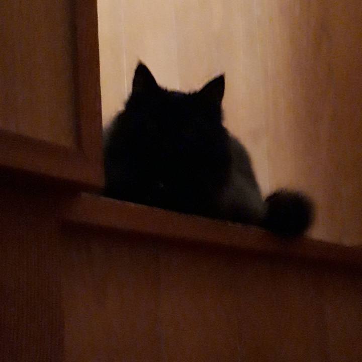 Aa17227a 095f 43c5 9ca7 0d017a2b1c3a 1523966001680