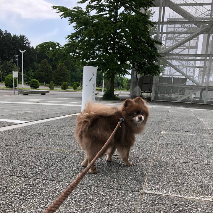 Aa179cc1 1ccb 4b4a a95c 53da03c97983 1622939965320